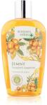 Bohemia Gifts Bohemia Herbs Argan Oil hajsampon 250 ml