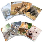 Pigna Тетрадка Pigna Animal Maxi A4 42 л (1120351-0232593-0C)