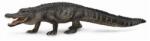 CollectA COLECTA Aligator american (M1188609) Figurina
