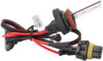 m-tech Izzó Xenon H11 6000K (2db) - M-TECH