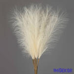  Pampafű műnövény 10 szálas köteg 56, 5cm - Krém