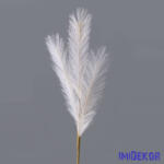  4 ágú pampafű ág 58cm - Ekrü