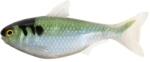 Live Target Shad Unrigged 16.5cm 12.7g Blue/Green 2buc (F1.LT.SGU165SK1062)