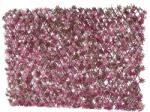  Gard artificial Fall, 100x200cm (5999058317176-DC)