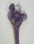  Curly Ting Ting, lila (237.200403043)