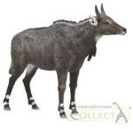 MAC TOYS - COLLECTA Nilgai (M1188764) Figurina