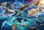 Schmidt Spiele - Puzzle Animale din Arctica - 150 piese Puzzle