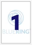 Bluering Etikett címke, 210x297mm, 100 lap, 1 címke/lap Bluering® (BRET111) - irodasziget