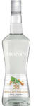 MONIN Lichior Monin Curacao Triple Sec 0.7L 38%