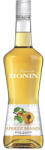 MONIN Lichior Monin Apricot Brandy 0.7L
