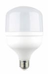 OPTONICA LED izzó E27 30W 3200lm 6000K T100 11893