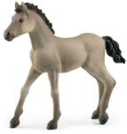 Schleich Animal - mânz Criollo Definitiv (102613949) Figurina