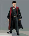 Zuty Picturi pe numere Harry Potter într-un obicei cu o baghetă (M10-040-050-605631) Carte de colorat