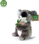 Rappa Koala de pluș care stă jos, 15 cm, ECO-FRIENDLY