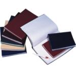 Bluering Beírókönyv A4, 200lap, műanyag, Bluering® kockás - mystock