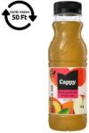 Cappy Gyümölcslé, 50%, 0, 33 l, CAPPY őszibarack mix (989010) - mystock