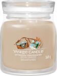 Yankee Candle Afternoon Scrapbooking 368 g