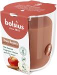 Bolsius Apple Cinnamon 313 g