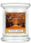 Kringle Candle Lumanare parfumata Autumn Amber mini 1 fitil (127 g),