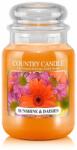 Kringle Candle Lumânare Country Sunshine & Daisies lumânare mare cu 2 fitiluri parfumate (652 g),