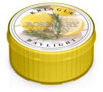 Kringle Candle Lumanare Kringle Rosemary Lemon (35 g),