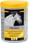 EQUISTRO Triforce 600 g