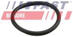 FAST Inel etansare, furtun lichid racire FAST FT49919 (FT49919)