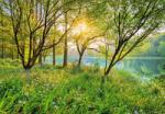  Komar Spring Lake 8-524 poszter (8-524)