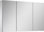 Elita Basic dulap 100.6x12.9x61.8 cm laterala pe perete RE061000030000 (RE061000030000)