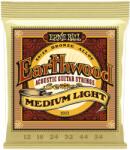 Ernie Ball 2003 Earthwood 80/20 Bronze Medium-Light