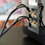 SVS Soundpath Ultra Bi-Wire - Conectori Banana 3m (10FT)