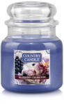 Kringle Candle Country Candle Blueberry Cream Pop közepes 2 kanócos illatgyertya (453 g),