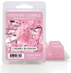 Značky > Country Candle Country Candle Cherry Blossom illatviasz (64 g),
