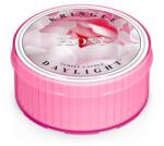 Kringle Candle Bazsarózsa illatú gyertya (35 g),
