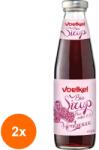 Voelkel Set 2 x Sirop BIO de Zmeura 1: 7, 500 ml, Voelkel