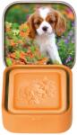 Esprit Provence Săpun de Marsilia Esprit Provence în cutie - Puppy, 25g