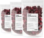 Vilgain Mure de pădure liofilizate -⁠ liofilizate delicat, gust și aromă bogată, cu vitamine și minerale - vilgain - 56,97 RON
