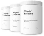 Vilgain Creatină -⁠ creatină monohidrat micronizată, cu absorbție ridicată, testată HPLC, suport pentru forță și performanță, supliment alimentar - vilgain - 269,97 RON