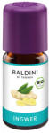 TAOASIS Baldini Bioaroma Gyömbér 5 ml