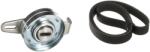 GATES Set curea transmisie cu caneluri GATES Micro-V® K036PK1010 (K036PK1010)