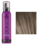 Schwarzkopf Igora Expert Mousse hajszínező hab, 100 ml 8-1