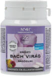 Bach virágterápiás rágógumi összpontosít 60g