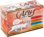 Catessy 12x100g Catessy falatok vegyes zöldséges aszpikban nedves macskatáp vegyes csomagban