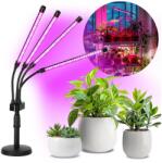 Kobi LED Dimmelhető asztali lámpa növények termesztésére VITARO 4xLED/10W/230V fekete KB0438 (KB0438)