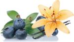 Warrior WPC 80 - CFM tejsavófehérje Blueberry Vanilla 1kg