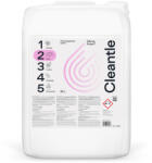 Cleantle Spuma activa Cleantle Citrus Foam, 25L (CTL-CF25L)