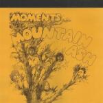 Mountain Ash Moment