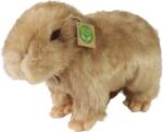 Rappa Jucărie de pluș Rappa Eco Friends - Capybara, în picioare, 30 (230743)