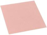 Thermal Grizzly Thermal Thermal Grizzly Grizzly Minus Pad 8 - 100x 100x 1.0 mm, thermal pads (TG-MP8-100-100-10-1R)