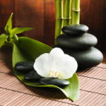 Art Galéria Lávakövek - vászonkép